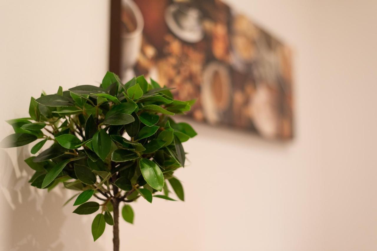 Standard By Hi5 - West End Center Apartmán *